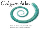 C.Elegans Atlas